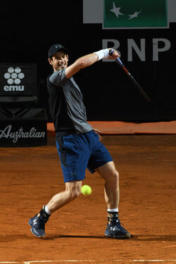 16.05.2017 Internazionali Tennis Fognini vs Murray 21 photos