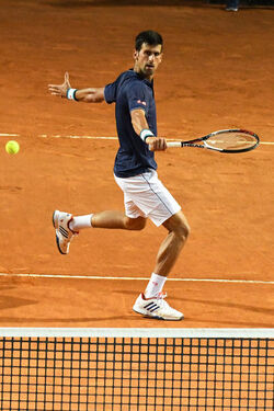 19.05.2017 Internazionali BNL Tennis. Djokovic vs Del Potro