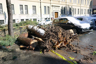 26.02.2018 Neve a Roma 22 photos