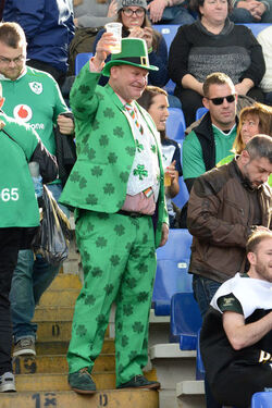 11.02.2017 RBS 6 Nation. Ita vs Irl Supporters