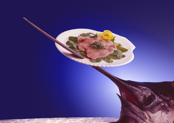 CARPACCIO DI PESCE SPADA INFILZATO