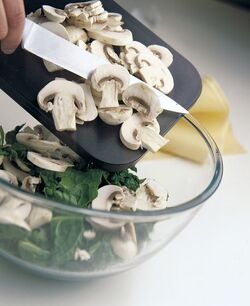 SFOGLIATINE DI SALMONE SPINACI E FUNGHI