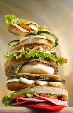 APERTURA INGREDIENTI PANINI