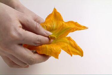 VERDURE MISTE ALL AGLIO E MAGGIORANA CON SALSA VERDURE MISTE ALL AGLIO E MAGGIORANA CON SALSA