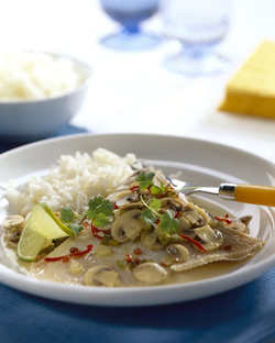 RAZZA AI FUNGHI CHAMPIGNON RAZZA AI FUNGHI CHAMPIGNON