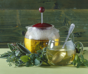 TISANA ALLE ERBE