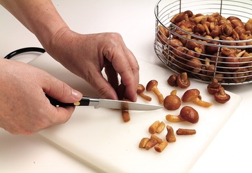 MEN&Ugrave; TUTTO FUNGHI