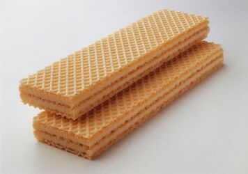 WAFER SU FONDO BIANCO