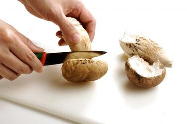 MENÙ A BASE DI FUNGHI MENÙ A BASE DI FUNGHI