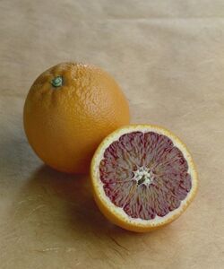 ARANCE MORELLO DI CATANIA