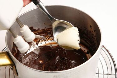 CREMINI ALLA MENTA CON SALSA AL FONDENTE