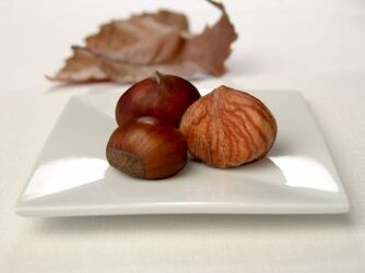 CASTAGNE NEL RICCIO