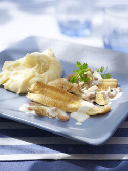 RICETTE FACILI RICETTE FACILI