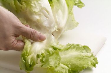CAPONATA DI SEDANO E INDIVIE