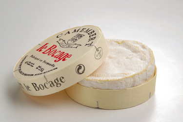 FORMAGGIO CAMEMBERT