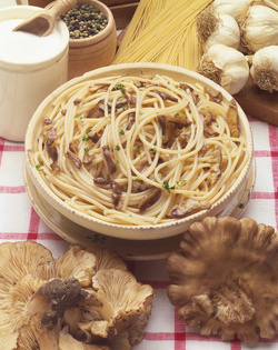 SPAGHETTI AI FUNGHI