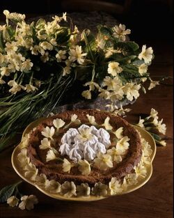 DOLCE CON LE PRIMULE