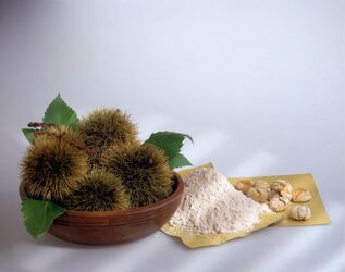 CASTAGNE NEL RICCIO