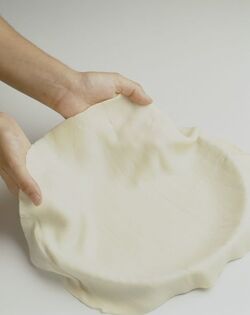 CROSTATA AL FORMAGGIO CON UVA E RIBES