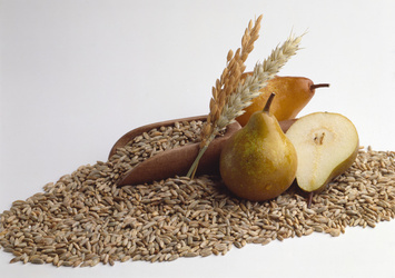 APERTURA INGREDIENTI APERTURA INGREDIENTI