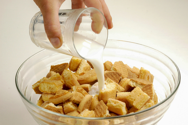 BUDINO DI BISCOTTI E NOCI