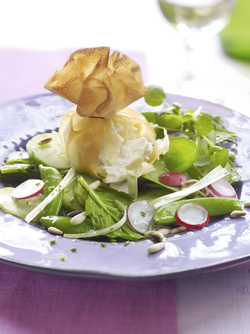 FAGOTTINI CROCCANTI DI CAPRINO CON INSALATA