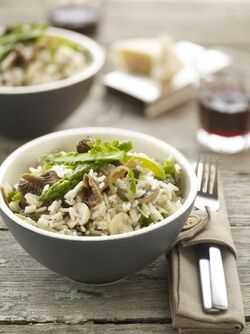 WOK DI RISO CON VERDURE E FUNGHI