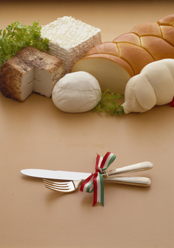 FORMAGGI ITALIANI FORMAGGI ITALIANI