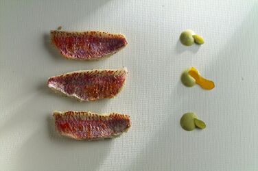 TRIGLIE AL PISTACCHIO