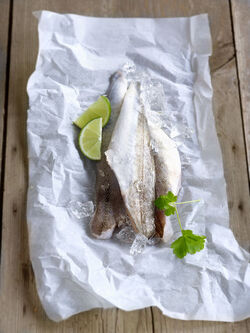 GRANDI PESCE TRIGLIE
