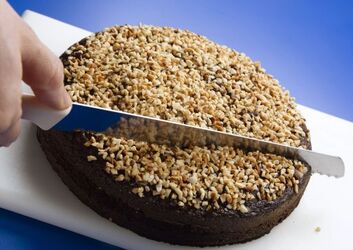 TORTA AL CIOCCOLATO ALLO ZENZERO CON MANDORLE