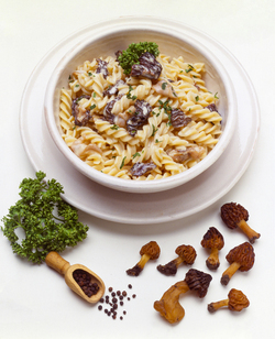 FUSILLI CON SPUGNOLE ALLA PANNA