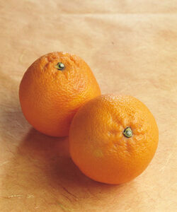 ARANCE MORELLO DI CATANIA