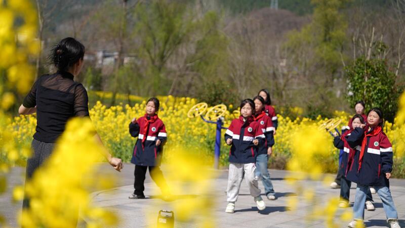 Cina Gli studenti seguono le lezioni nei campi di colza in fiore nella città di Tonggu Cina Gli studenti seguono le lezioni nei campi di colza in fiore nella città di Tonggu