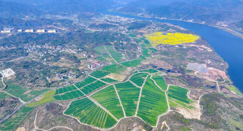 Spring pastoral scenery in Hangzhou Spring pastoral scenery in Hangzhou