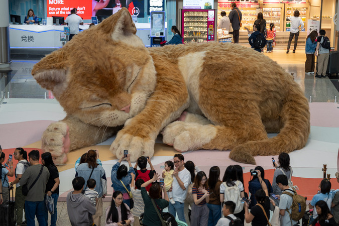 HONGKONG DAILY HONGKONG DAILY