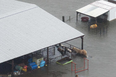 August 2017 - Texas, United States: Hurricane Harvey flooding in Port Arthur, Texas, August 30, 2017. Hurricane Harvey formed in the Gulf of Mexico and made landfall in southeastern Texas, bringing record flooding and destruction to the region. U.S. military assets supported FEMA as well as state and local authorities in rescue and relief efforts. (POLARIS)