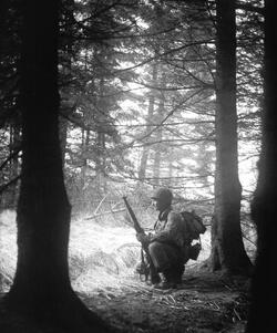 THE STORY of an unsung unit of Second Word War soldiers who stood alongside the infamous ‘Band of Brothers’ as they often fought to the last man to repel Hitler’s last big offensive has been released in a new book detailing their previously little reported struggle. Images show how this unknown band of brothers dug into fox holes in the middle of the snowy Ardennes forest as they wait for the German army to advance, while others see troops stood over the bodies of their fallen comrades. In another picture, a soldier can be seen aiming his rifle at a group of German prisoners, moving them on as they walk with their hands over their heads. The images are from the new book The 110th Holds in the Ardennes by Walter S. Zapotoczny Jr, which tells the tale of how the 110th infantry 28th division held a line through the formidable Ardennes forest against the might of Hitler’s army / Fonthill Media / mediadrumworld.com