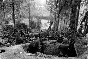 THE STORY of an unsung unit of Second Word War soldiers who stood alongside the infamous ‘Band of Brothers’ as they often fought to the last man to repel Hitler’s last big offensive has been released in a new book detailing their previously little reported struggle. Images show how this unknown band of brothers dug into fox holes in the middle of the snowy Ardennes forest as they wait for the German army to advance, while others see troops stood over the bodies of their fallen comrades. In another picture, a soldier can be seen aiming his rifle at a group of German prisoners, moving them on as they walk with their hands over their heads. The images are from the new book The 110th Holds in the Ardennes by Walter S. Zapotoczny Jr, which tells the tale of how the 110th infantry 28th division held a line through the formidable Ardennes forest against the might of Hitler’s army / Fonthill Media / mediadrumworld.com