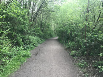 ghost in talking tree