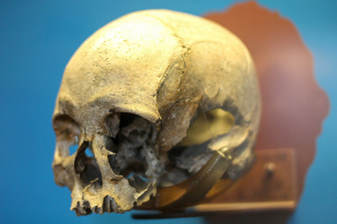 3D CAVEMAN FACE REVEAL