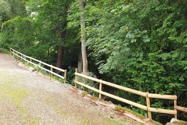 LUCKY DAD CAN ESCAPE INTO A FOREST IN HIS BACK GARDEN
