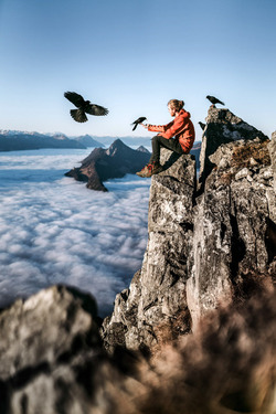THE HUMAN BIRD TABLE...ON TOP OF A MOUNTAIN