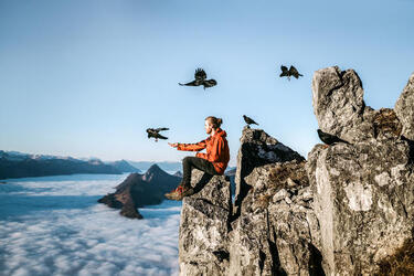 THE HUMAN BIRD TABLE...ON TOP OF A MOUNTAIN