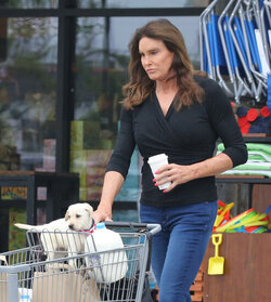 Caitlyn Gets Cute Cuddly Companion