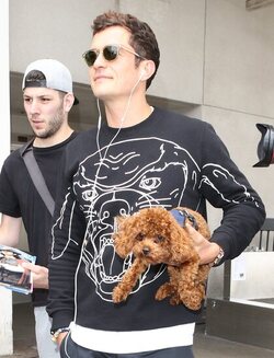 Orlando Bloom returned to Los Angeles carrying his puppy and signing autographs on his way to his waiting vehicle.