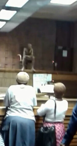 VID The Law Is An Ass Defendant Strips Naked In Court VID The Law Is An Ass Defendant Strips Naked In Court