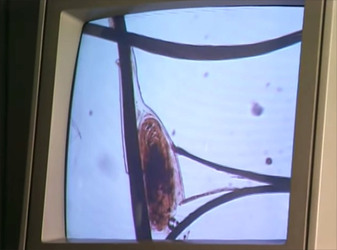 MUM AND HER TWO DAUGHTERS MURDERED BY ANGRY NEPHEW