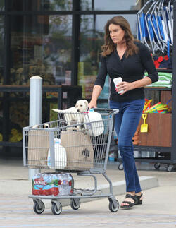 Caitlyn Gets Cute Cuddly Companion