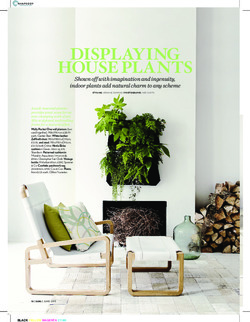 Displaying house plants 2 